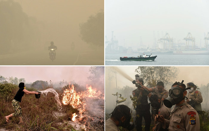 Singapura Akan Kejar Perusahaan Pelaku Karhutla di Indonesia, kata Media Asing